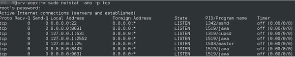 Netstat-Command-Display-Linux-Server-Listening-Ports-and-Java-Process