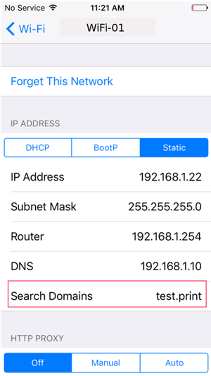 iOS Wi-Fi Settings Displaying Custom Search Domain for Network Configuration