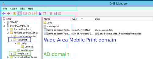 DNS Manager Window Showing Wide Area Mobile Print Domain Configuration
